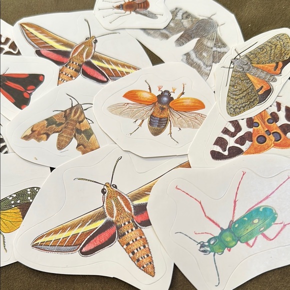 15 Colorful Insect Sticker Set - Picture 6 of 6